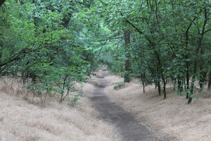 украина